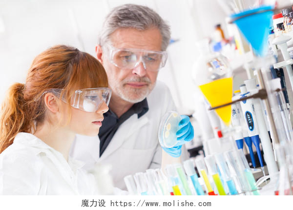 有吸引力的年轻女科学家和高级男上司看细胞集落生长在培养皿中 生命科学研究实验室  生物化学 遗传学 法医学 微生物学